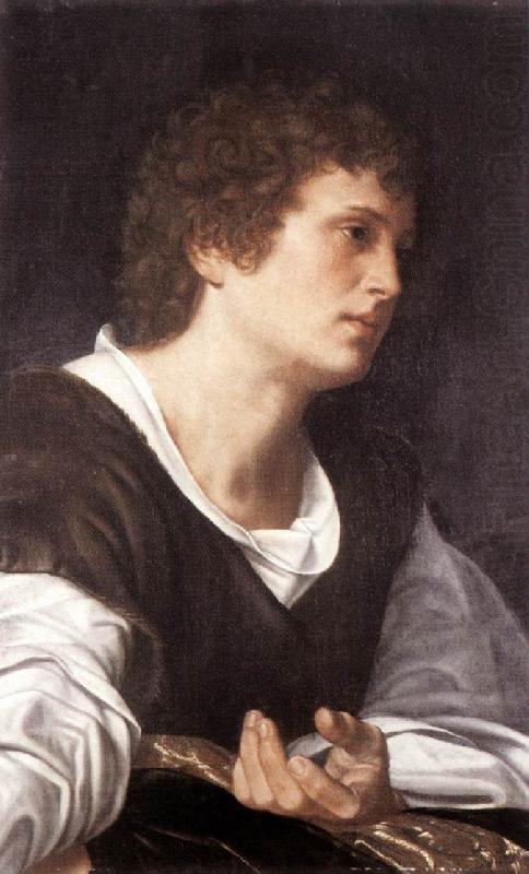 Bust of a Youth sg, SAVOLDO, Giovanni Girolamo